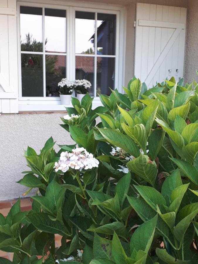 Maison Ruisseau L'Eau Blanche Léognan Eksteriør bilde